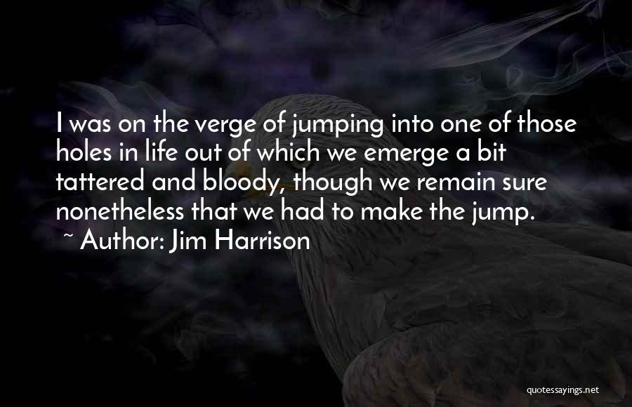 Holes In Life Quotes By Jim Harrison