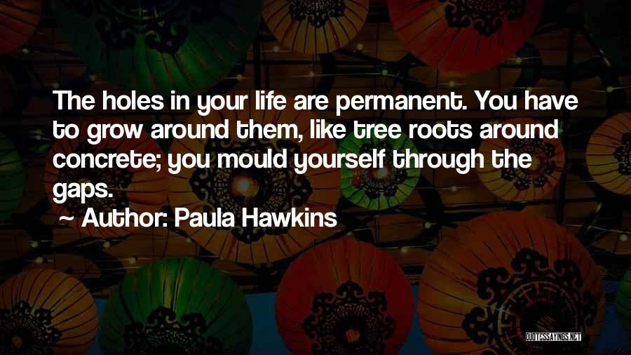 Holes In Life Quotes By Paula Hawkins