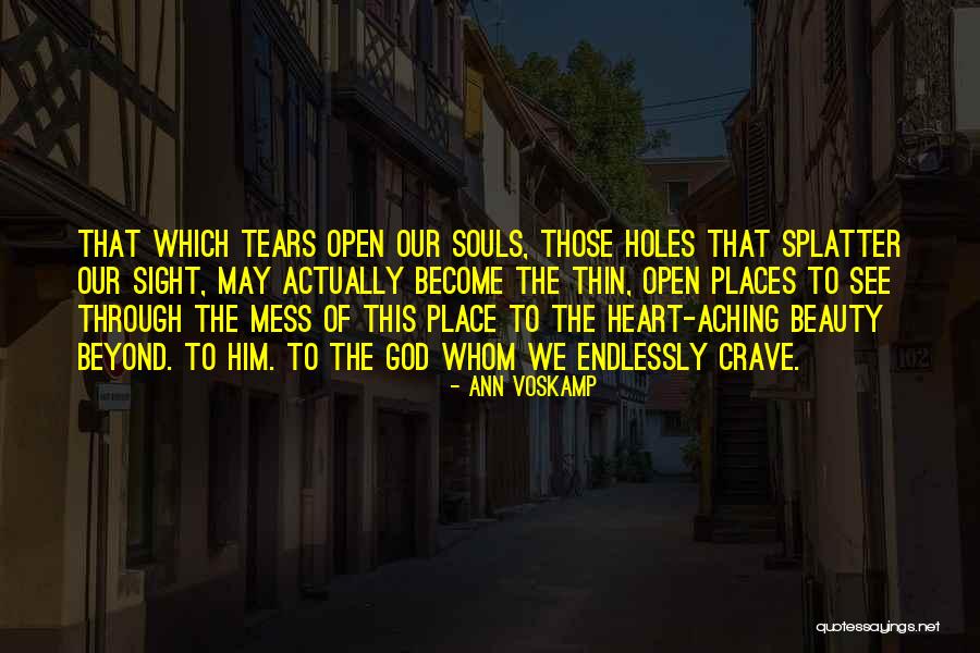 Holes In Your Heart Quotes By Ann Voskamp