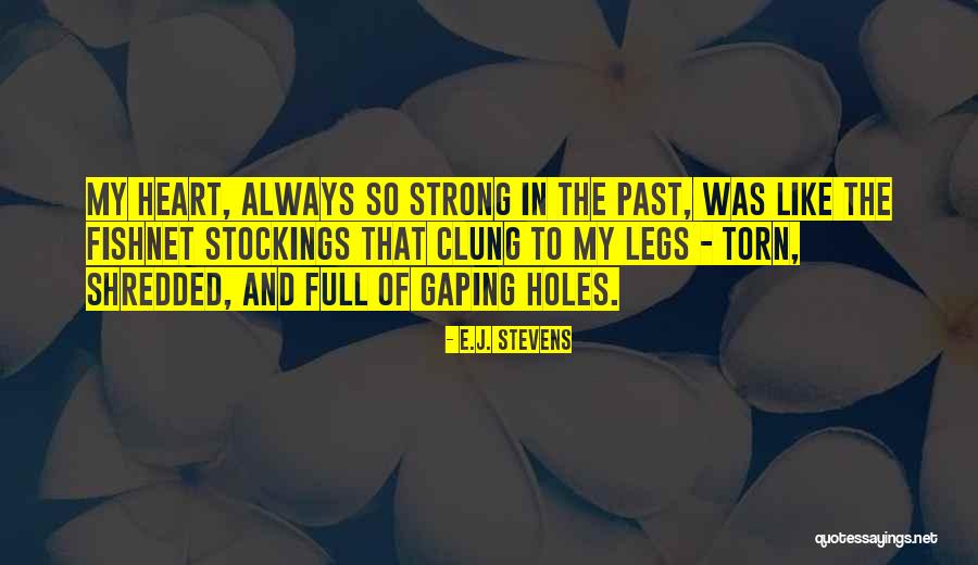 Holes In Your Heart Quotes By E.J. Stevens