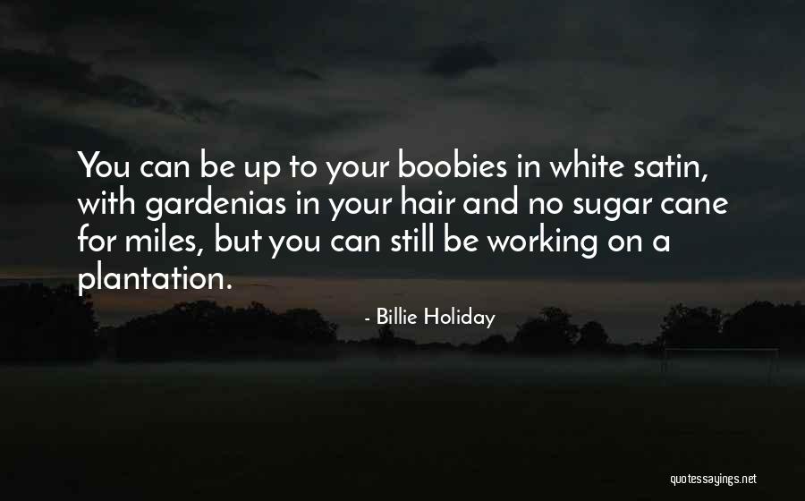 Holiday But Still Working Quotes By Billie Holiday