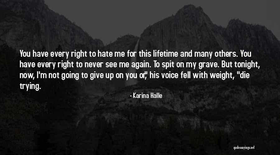 Holiday Photos Clips Quotes By Karina Halle