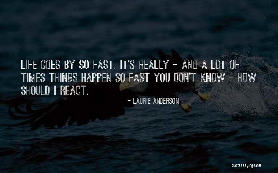 Holiday Photos Clips Quotes By Laurie Anderson