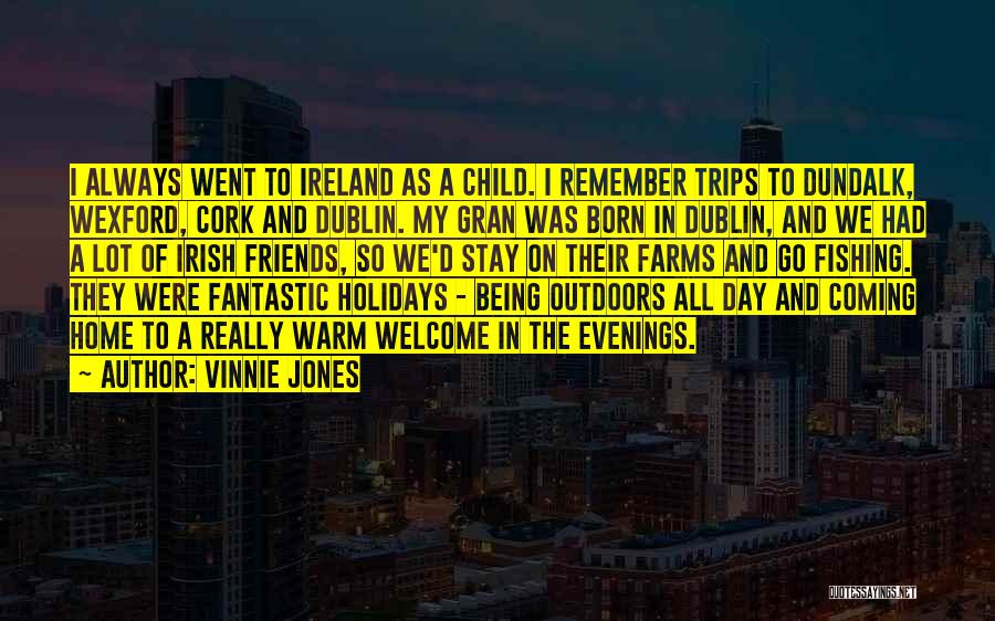 Holidays At Home Quotes By Vinnie Jones