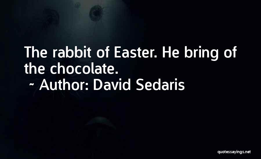 Holidays Funny Quotes By David Sedaris