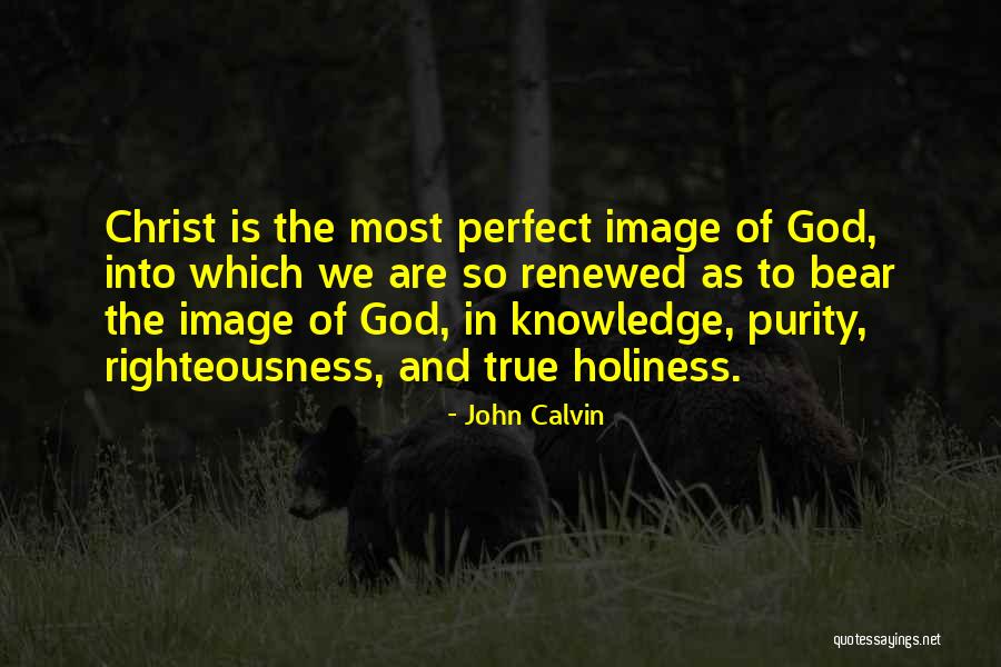 Holiness And Righteousness Quotes By John Calvin