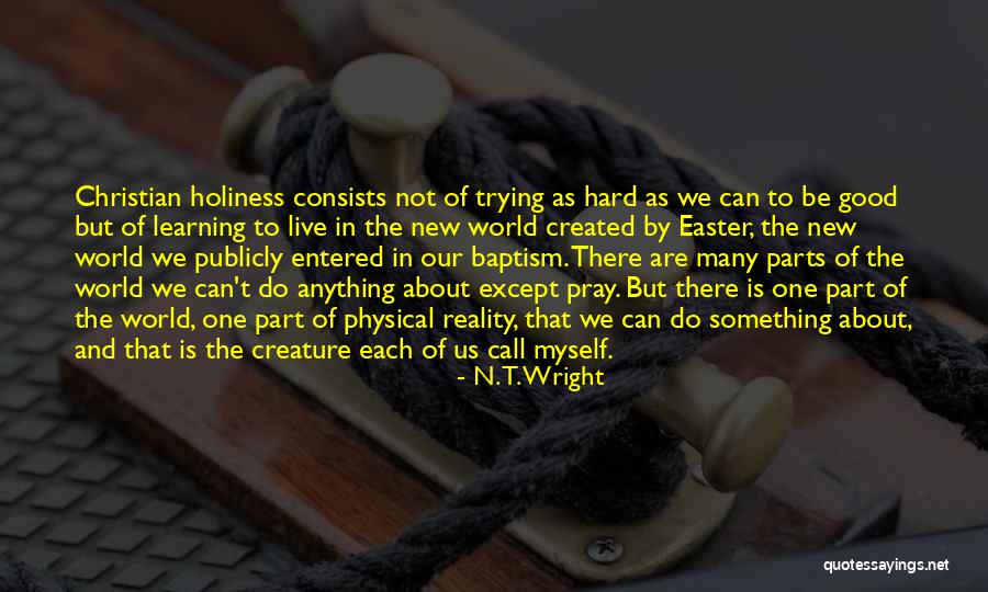 Holiness Christian Quotes By N. T. Wright Holiness Christian Quotes By N. T. Wright