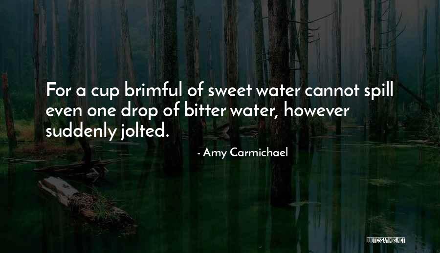 Holistic Birthday Quotes By Amy Carmichael