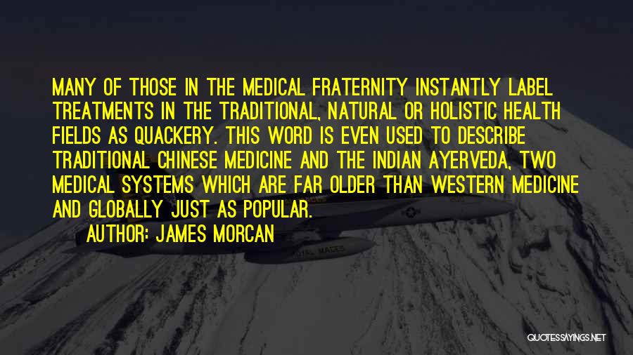 Holistic Health Quotes By James Morcan