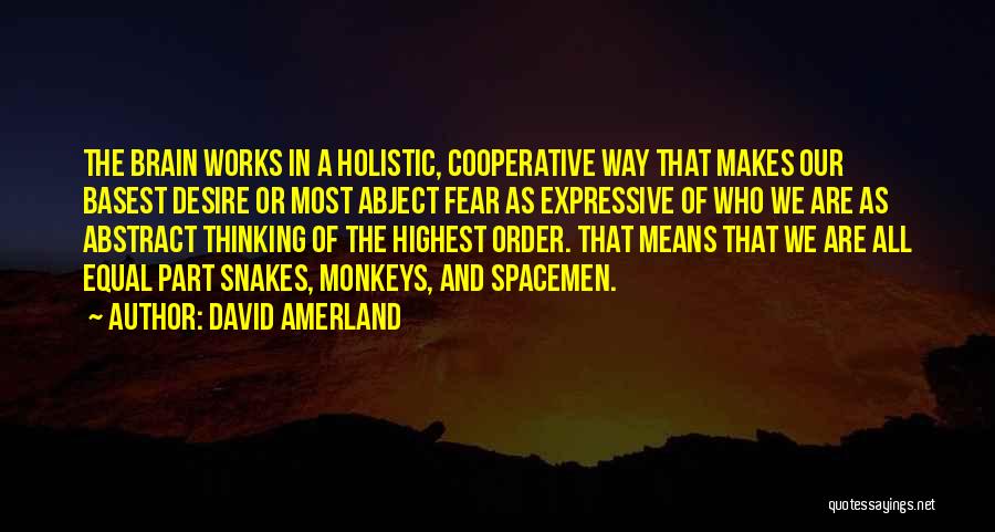 Holistic Thinking Quotes By David Amerland