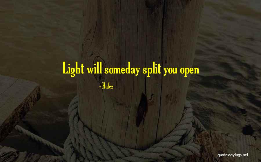 Holists Quotes By Hafez Holists Quotes By Hafez