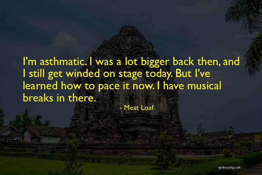 Holivudski Tretman Quotes By Meat Loaf Holivudski Tretman Quotes By Meat Loaf