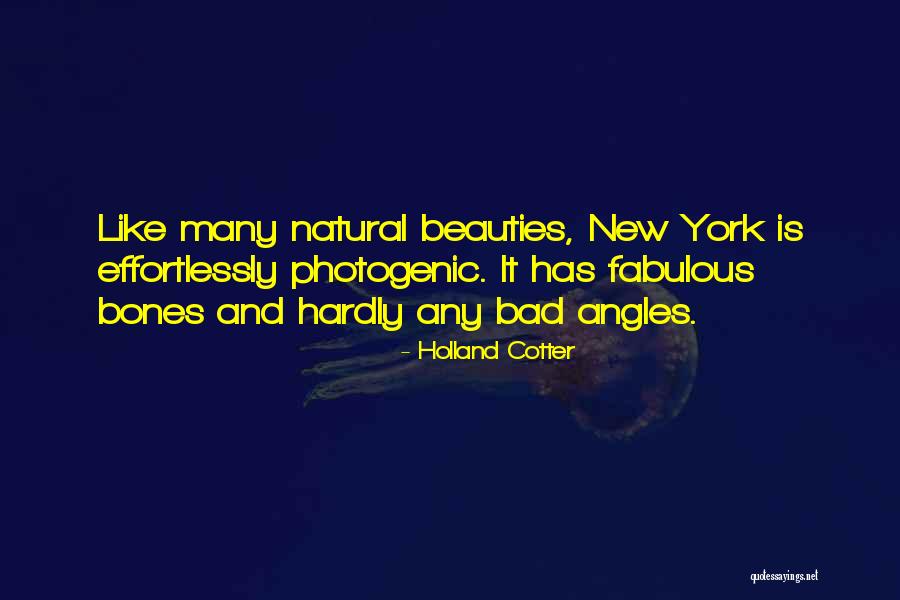 Holland Cotter Quotes 512249