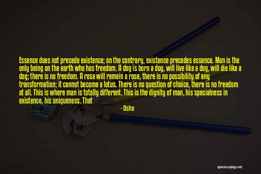 Holleman Village Quotes By Osho Holleman Village Quotes By Osho