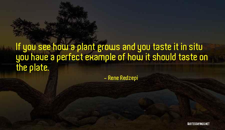 Hollenstein Center Quotes By Rene Redzepi Hollenstein Center Quotes By Rene Redzepi