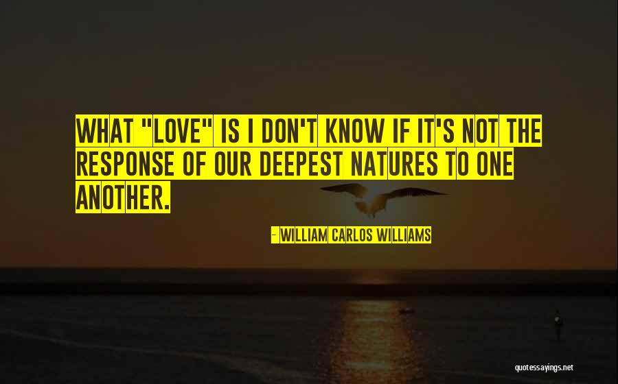Hollerstown Quotes By William Carlos Williams Hollerstown Quotes By William Carlos Williams