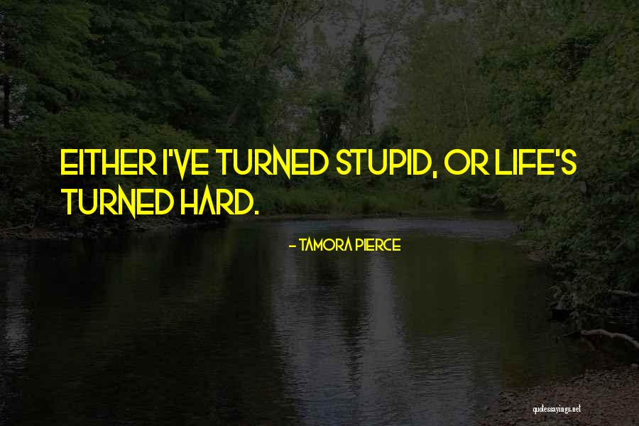 Hollingbery Field Quotes By Tamora Pierce Hollingbery Field Quotes By Tamora Pierce
