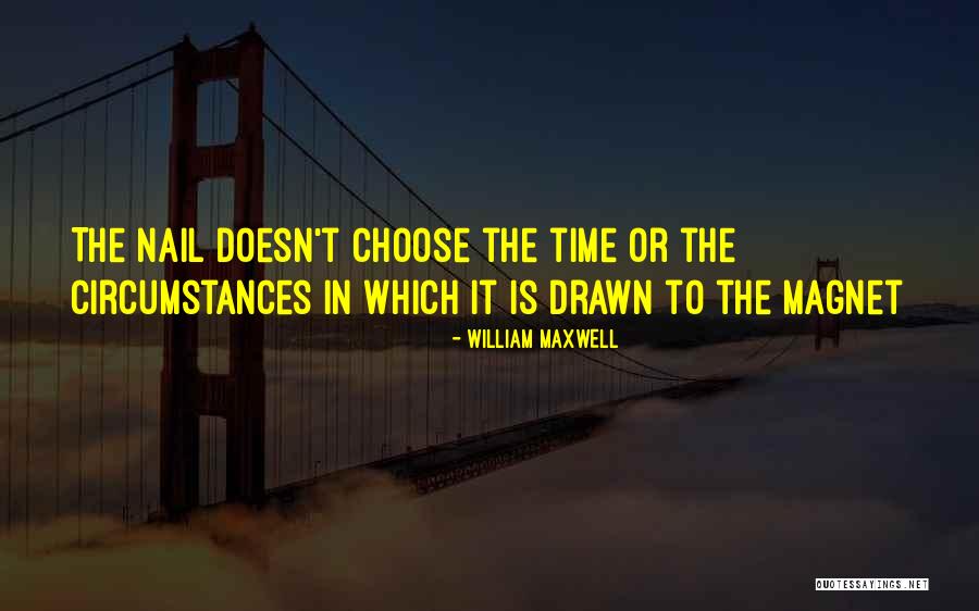 Hollingbury Park Quotes By William Maxwell Hollingbury Park Quotes By William Maxwell