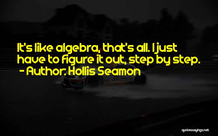 Hollis Seamon Quotes 978693