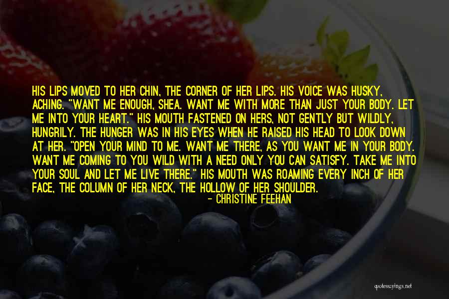 Hollow Soul Quotes By Christine Feehan Hollow Soul Quotes By Christine Feehan