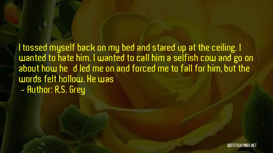 Hollow Words Quotes By R.S. Grey