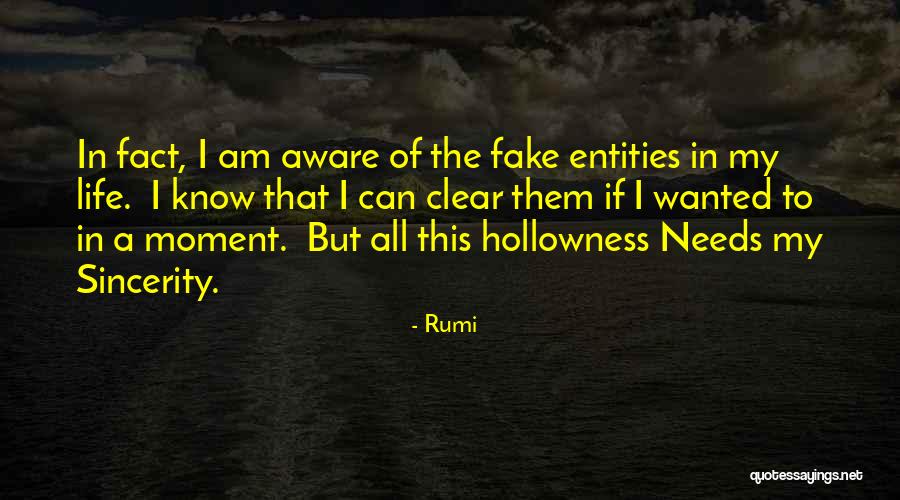 Hollowness Of Life Quotes By Rumi Hollowness Of Life Quotes By Rumi