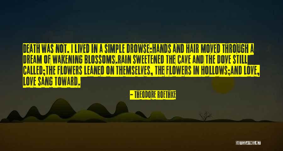 Hollows Quotes By Theodore Roethke Hollows Quotes By Theodore Roethke