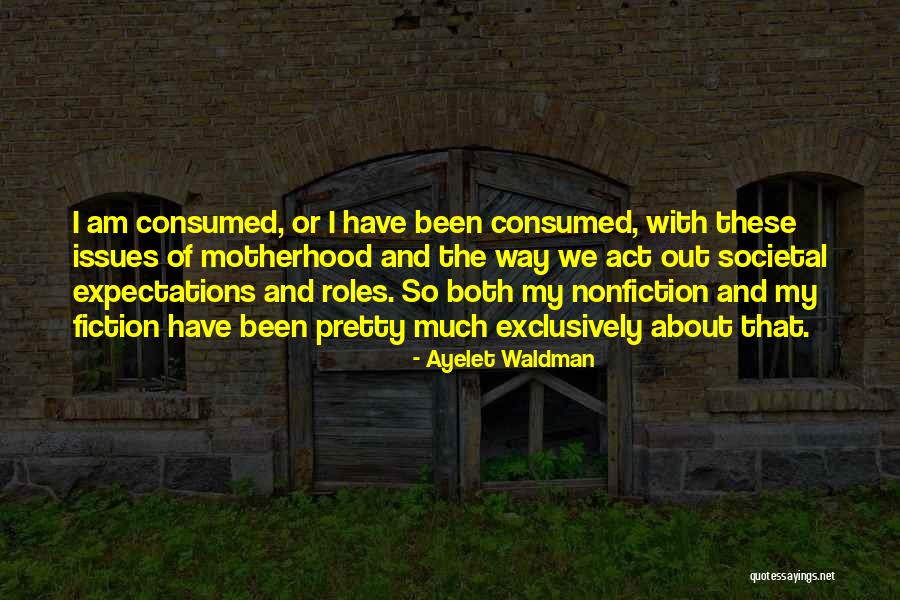 Holly And Christmas Quotes By Ayelet Waldman Holly And Christmas Quotes By Ayelet Waldman