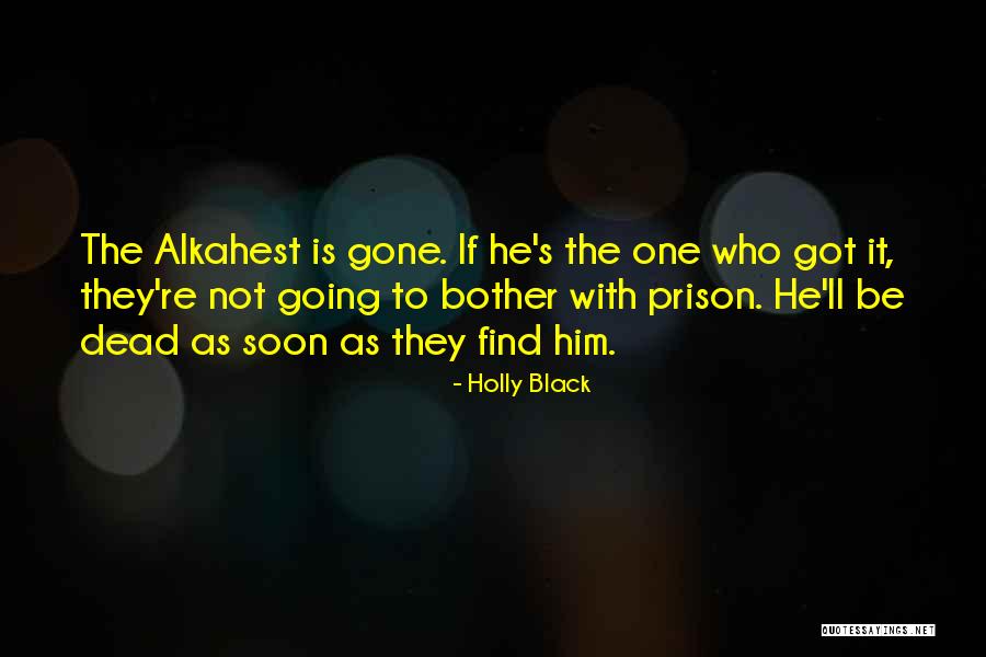 Holly Black Quotes 354166