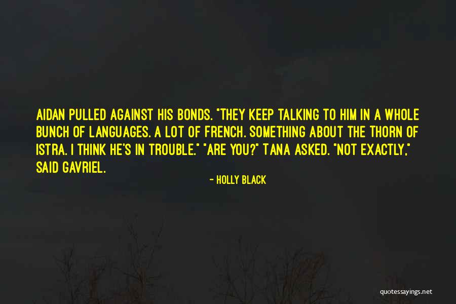 Holly Black Quotes 627546