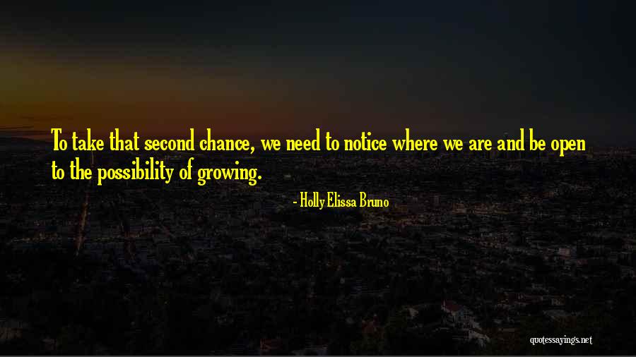 Holly Elissa Bruno Quotes 857381 Holly Elissa Bruno Quotes 857381