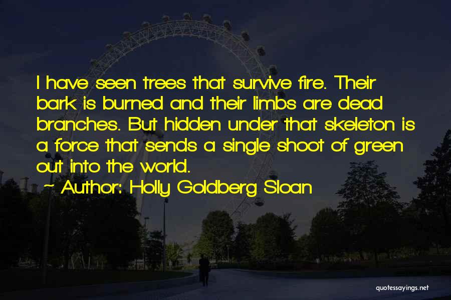 Holly Goldberg Sloan Quotes 1788060