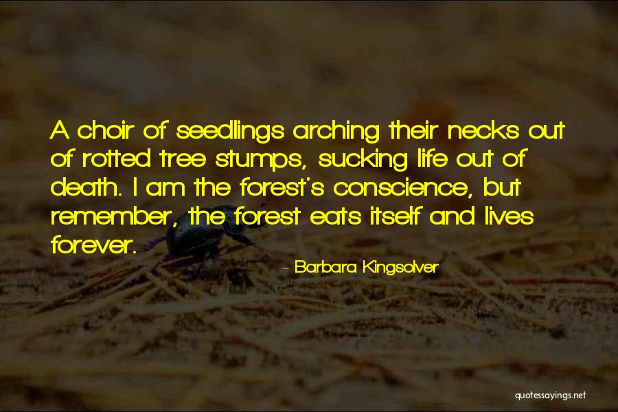 Hollyce Williams Quotes By Barbara Kingsolver Hollyce Williams Quotes By Barbara Kingsolver