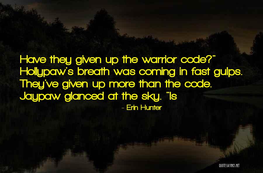 Hollypaw Warrior Quotes By Erin Hunter Hollypaw Warrior Quotes By Erin Hunter