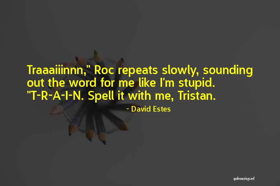 Holmz Selfix Quotes By David Estes Holmz Selfix Quotes By David Estes