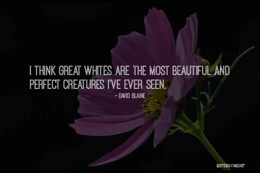 Holography Applications Quotes By David Blaine Holography Applications Quotes By David Blaine