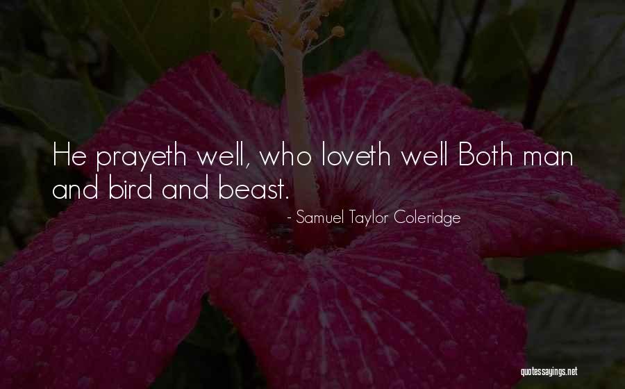 Holsonback Rentals Quotes By Samuel Taylor Coleridge Holsonback Rentals Quotes By Samuel Taylor Coleridge