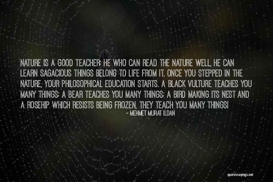 Holstens Quotes By Mehmet Murat Ildan Holstens Quotes By Mehmet Murat Ildan