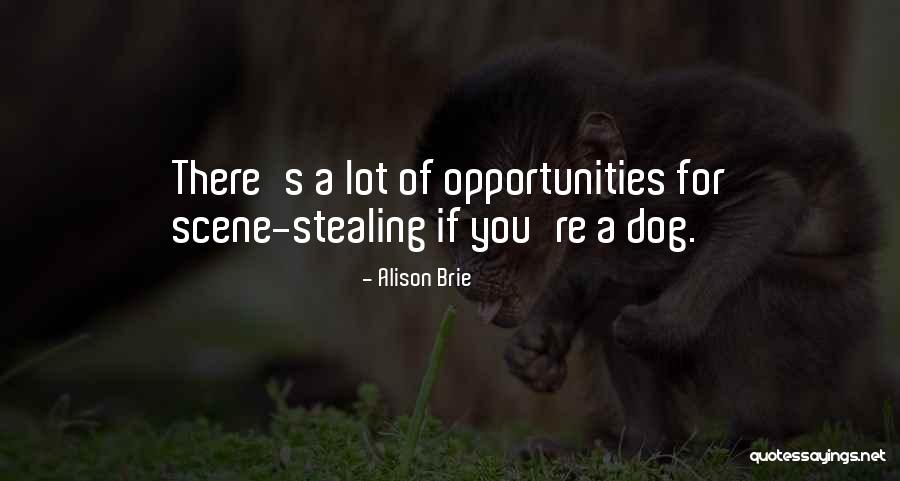 Holsts Hanover Quotes By Alison Brie Holsts Hanover Quotes By Alison Brie