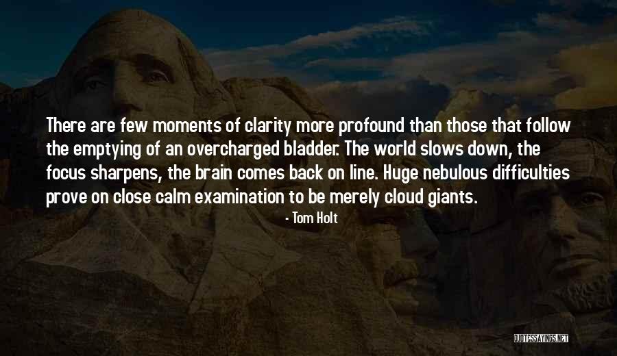 Holt Quotes By Tom Holt Holt Quotes By Tom Holt