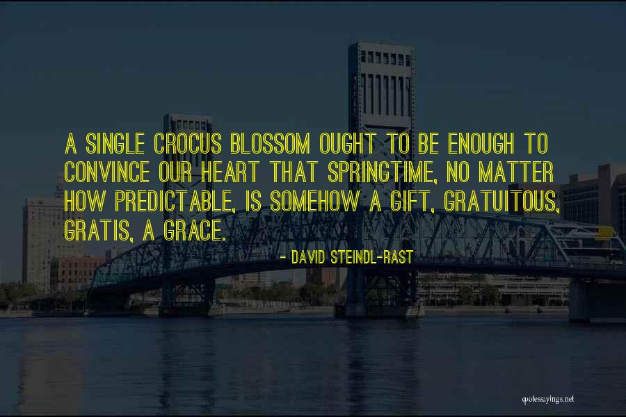 Holtermann Bienen Quotes By David Steindl-Rast Holtermann Bienen Quotes By David Steindl-Rast