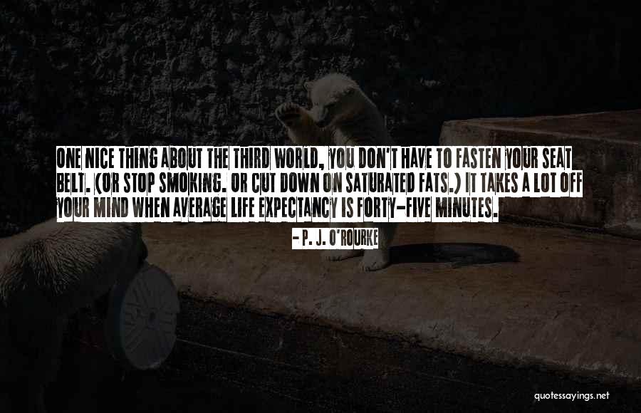 Holthoff Quotes By P. J. O'Rourke Holthoff Quotes By P. J. O'Rourke