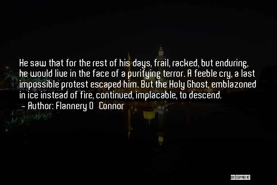 Holy Ghost Fire Quotes By Flannery O'Connor