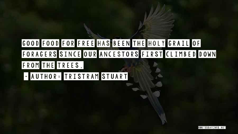 Holy Grail Quotes By Tristram Stuart