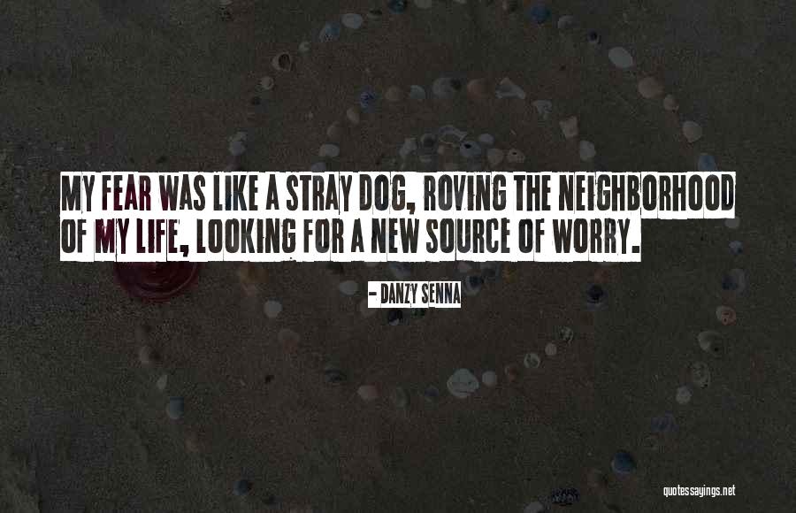 Holy Rollers Movie Quotes By Danzy Senna Holy Rollers Movie Quotes By Danzy Senna