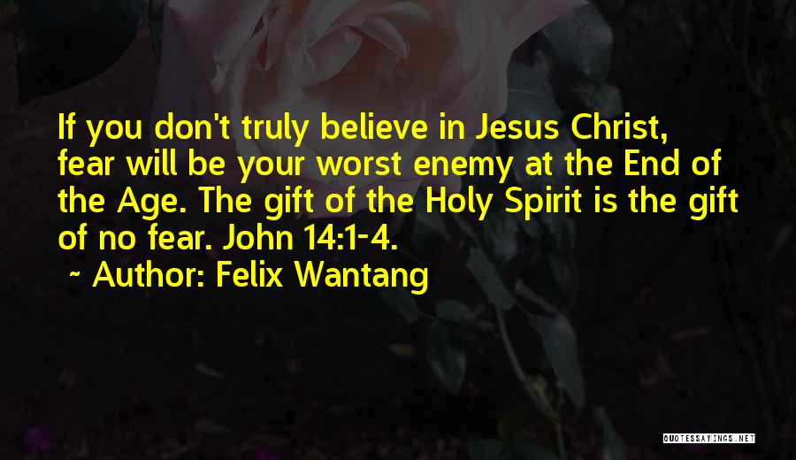 Holy Spirit In The Bible Quotes By Felix Wantang