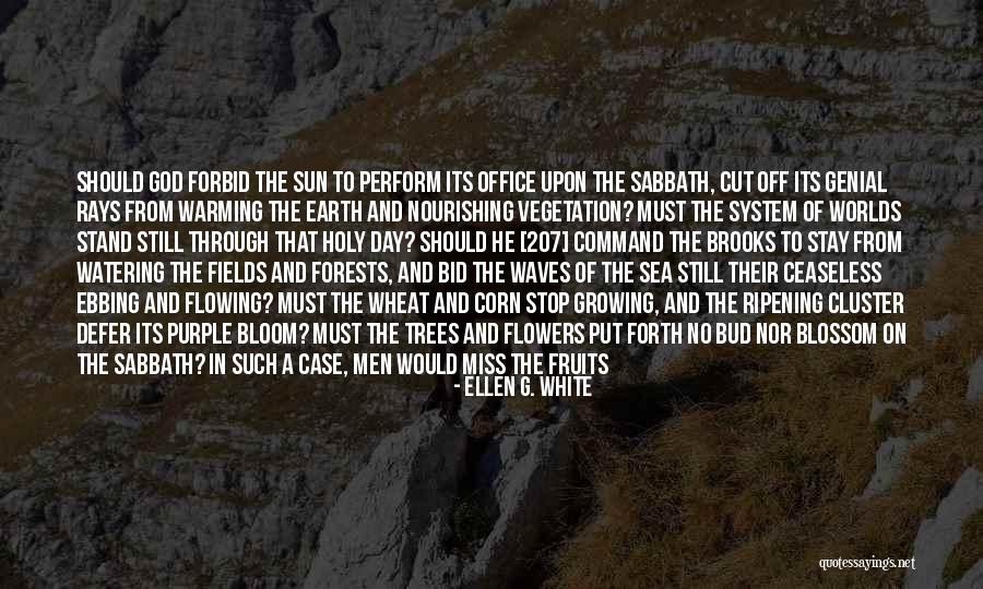Holy Trees Quotes By Ellen G. White Holy Trees Quotes By Ellen G. White