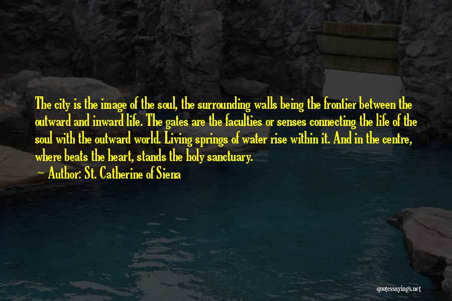 Holy Water Quotes By St. Catherine Of Siena