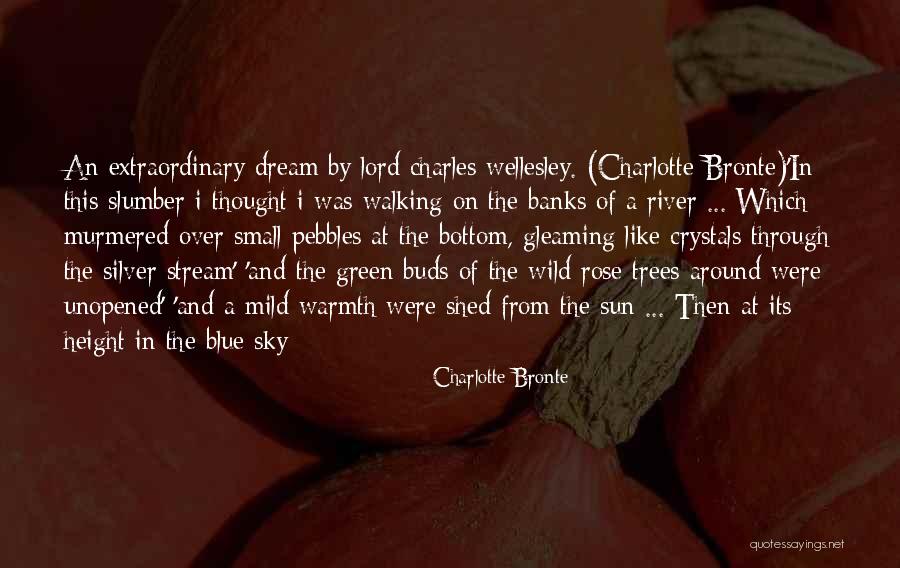 Holyoke Quotes By Charlotte Bronte Holyoke Quotes By Charlotte Bronte
