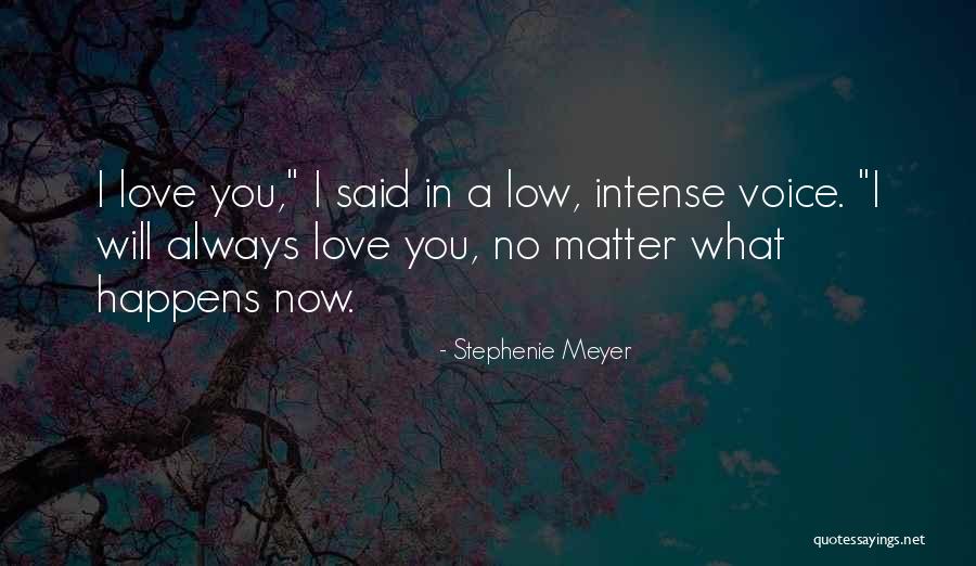 Holzmeister Collection Quotes By Stephenie Meyer Holzmeister Collection Quotes By Stephenie Meyer